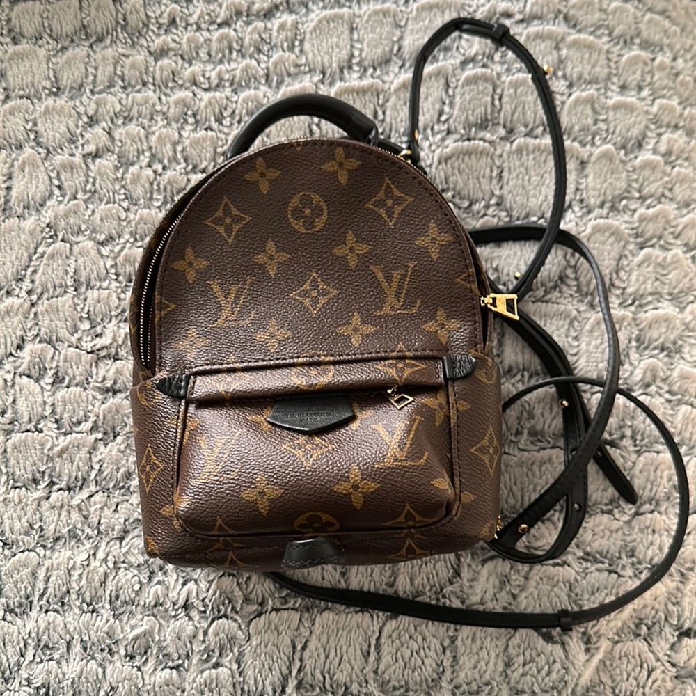 Louis Vuitton Palm Springs Mini Backpack